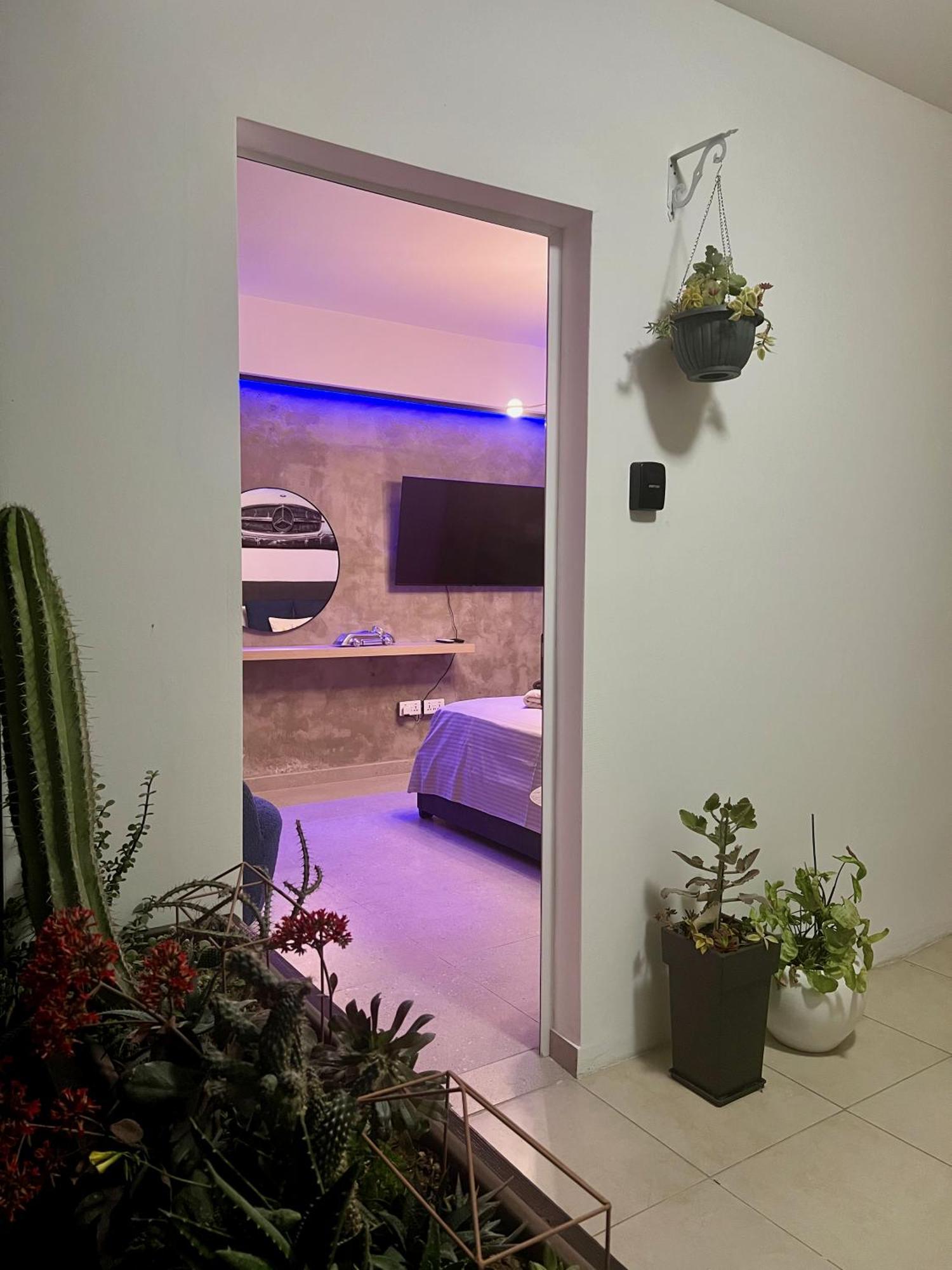 Fat Cow Apartments Larnaca Bagian luar foto